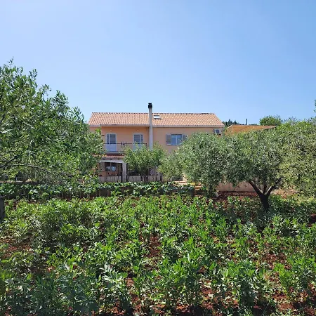 Appartement Zeljkovic *